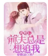 离婚后前夫总是想追我 海报