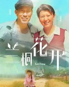 《兰桐花开》：乡村振兴路上的爱情赞歌，看新时代女性如何绽放！