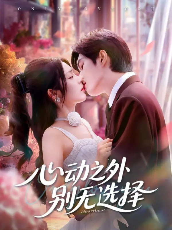《心动之外别无选择》：她能否打破宿命，在爱情与现实的夹缝中找到属于自己的光芒？